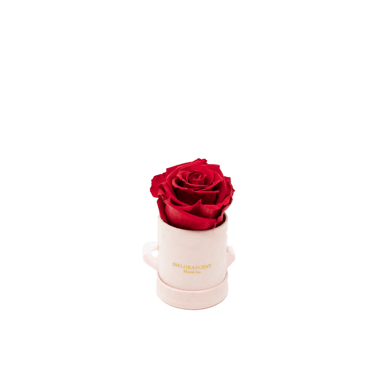 THE VALENTINE MINI