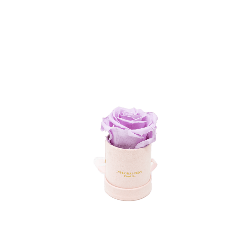 THE VALENTINE MINI
