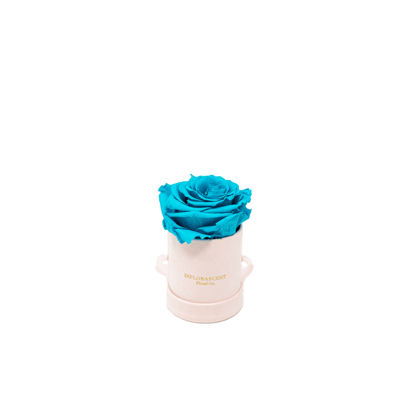 THE MINI