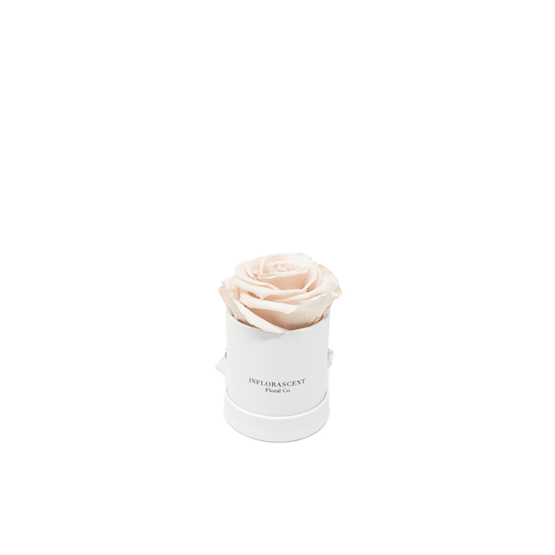 THE VALENTINE MINI