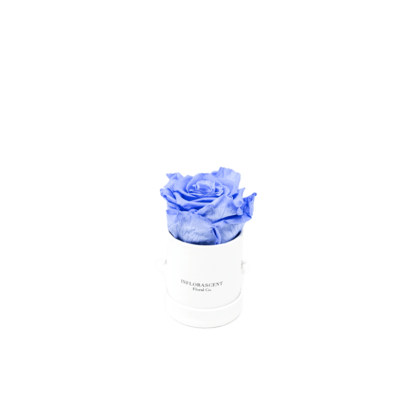 THE VALENTINE MINI
