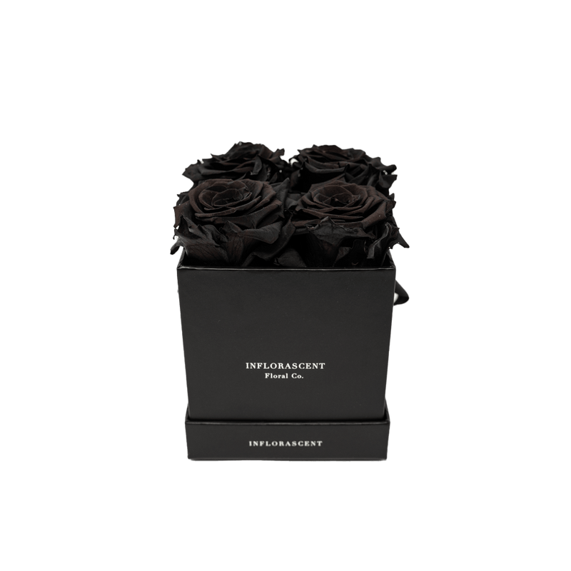 BLACK SMALL SQUARE