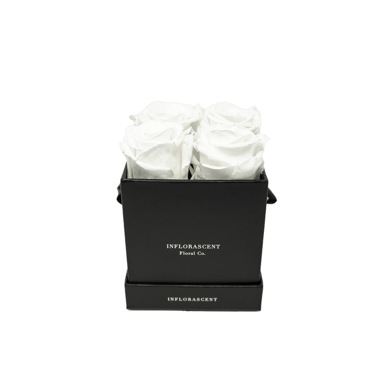 BLACK SMALL SQUARE
