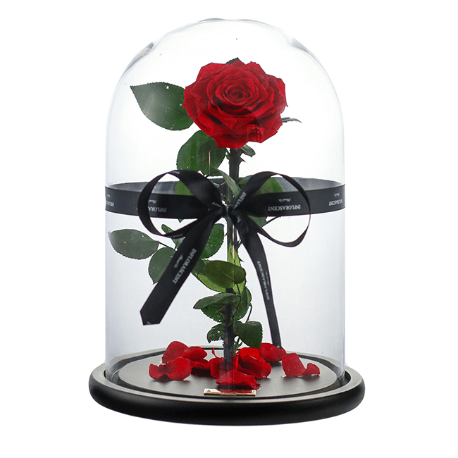 Infinite Love - Roses That Last A Year – Inflorascent Floral Co.
